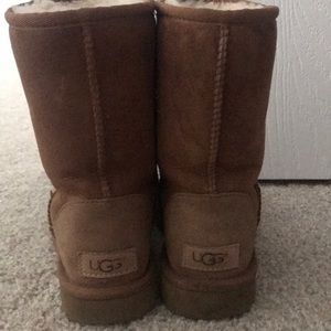 Chestnut Ugg Boots